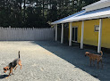 Pet boarding services Doggie Spa & Day Care in Chapel Hill in Orange