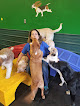 Pet boarding services Doggone Fun! Doggy Daycare Center in Tualatin in OR