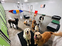 Pet boarding services Doggy Dojo in Burley in Idaho
