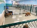 Pet boarding services Doggyday Inn Resort, Daycare & Grooming in Tampa in Hillsborough
