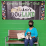 Pet boarding services Dogland in Albuquerque in NM