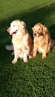 Pet boarding services Dogs Etc Grooming & Day Care in Stowe in Lamoille