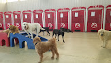 Pet boarding services Dogs On The Farm & Cats Too in Atlantic Highlands in Monmouth