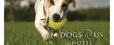 Pet boarding services Dogs R Us Hotel in Lutz in FL