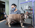 Pet boarding services Dog's Store And Groomming in Hormigueros in Puerto Rico