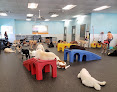 Pet boarding services Dogtopia Of Ellisville in Ellisville in St. Louis