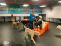 Pet boarding services Dogtopia Of Harbor Steps in Seattle in WA