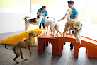 Pet boarding services Dogtopia Of Jacksonville At The Avenues in Jacksonville in Duval