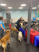 Pet boarding services Dogtopia Of Mechanicsburg in Mechanicsburg in Pennsylvania