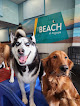 Pet boarding services Dogtopia Of Redmond in Redmond in WA