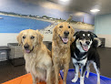 Pet boarding services Dogtopia Of Roseville in Roseville in Minnesota