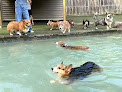 Pet boarding services Dogwood Acres Pet Retreat in Davidsonville in Maryland