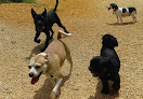 Pet boarding services Dogwood Pet Lodge in Windsor Mill in Windsor Mill, MD