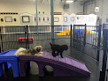 Pet boarding services Doodle Dog Daycare, Boarding And Grooming in Nampa in Idaho