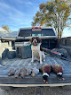 Pet boarding services Double A Gun Dogs in Lyons in Lyons