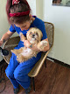 Pet boarding services Double Oak Mountain Animal Hospital in Birmingham in Alabama