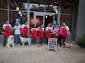 Pet boarding services Downtown Dog Lounge in Seattle in WA