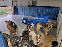 Pet boarding services D'tails Pet Grooming & Boarding in West Haven in Utah