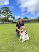 Pet boarding services Dusty Dog Training in Pāhoa in Hawaii