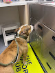 Pet boarding services Eastern Animal Hospital in Baltimore in Maryland