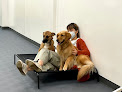 Pet boarding services Easy Wag in New York in Manhattan