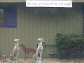 Pet boarding services Eisenberg Boarding Kennels in Noblesville in Indiana