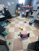 Pet boarding services El Segundo Pet Resort in El Segundo in California