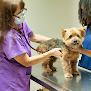 Pet boarding services Eldorado Animal Clinic in Santa Fe in New Mexico