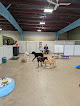 Pet boarding services Elevation Pet Resort in Laramie in Wyoming