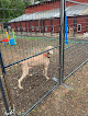 Pet boarding services Ellensburg Kennels in Ellensburg in WA