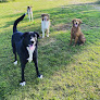 Pet boarding services Ellensburg Pet Lodge in Ellensburg in Kittitas