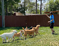 Pet boarding services Endless Love Pet Palace in Warner Robins in GA