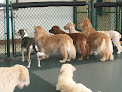 Pet boarding services Erlanger Pet Resort & Day Spa in Erlanger in Kentucky