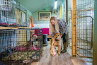 Pet boarding services Ernie Boudreaux's Doggie Dude Ranch in Elkins in Arkansas