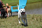 Pet boarding services Eva's Play Pups - Countryside Dog Camp in Union Dale in Pennsylvania