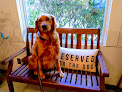 Pet boarding services Evergreen Pet Lodge in Hilton Head Island in South Carolina