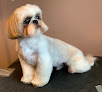 Pet boarding services Evermore Services For Pets in Park Rapids in MN
