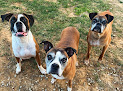 Pet boarding services Fairview Pet Kennels Inc in Hagerstown in Hagerstown, MD