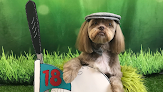 Pet boarding services Fairytails Pet Spaw in Winchester in Kentucky