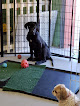 Pet boarding services Fallon Pet Oasis in Fallon in Nevada