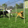 Pet boarding services Family Pet Boarding in Waukesha in Wisconsin