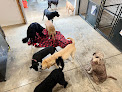 Pet boarding services Fat Cat's Dog Boarding in Basehor in KS