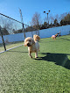 Pet boarding services Fetch Family Pet Resort in Sewell in New Jersey