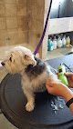 Pet boarding services Fetchers Play & Stay in Olathe in KS
