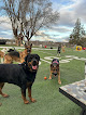 Pet boarding services Field Of Daisy's Doggy Playcare & Boarding in Madras in Oregon