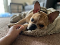 Pet boarding services Flint Hills Veterinary Hospital in Junction City in Kansas