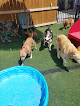 Pet boarding services Fluffy's Pet Resort in Fort Worth in TX
