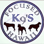 Pet boarding services Focused K9’s Hawaii Llc in Hilo in Hawaii