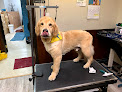 Pet boarding services Forest Acres Animal Hospital in Columbia in SC