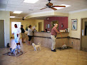 Pet boarding services Four Corners Animal Clinic in Clermont in Lake